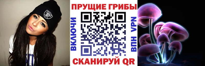 Псилоцибиновые грибы Cubensis Сибай