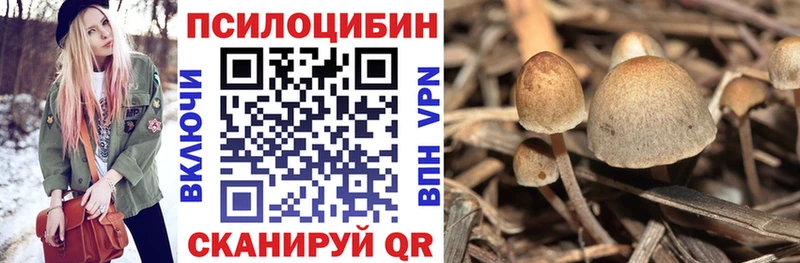 Псилоцибиновые грибы мицелий  сколько стоит  Сибай 