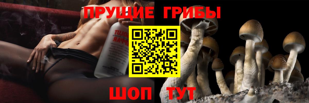 Галлюциногенные грибы GOLDEN TEACHER  Вход с VPN  Псилоцибиновые грибы MAGIC MUSHROOMS  Сибай 